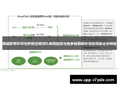 英超联赛阶段性数据透视球队表现趋势与竞争格局解析演变观察全景报告